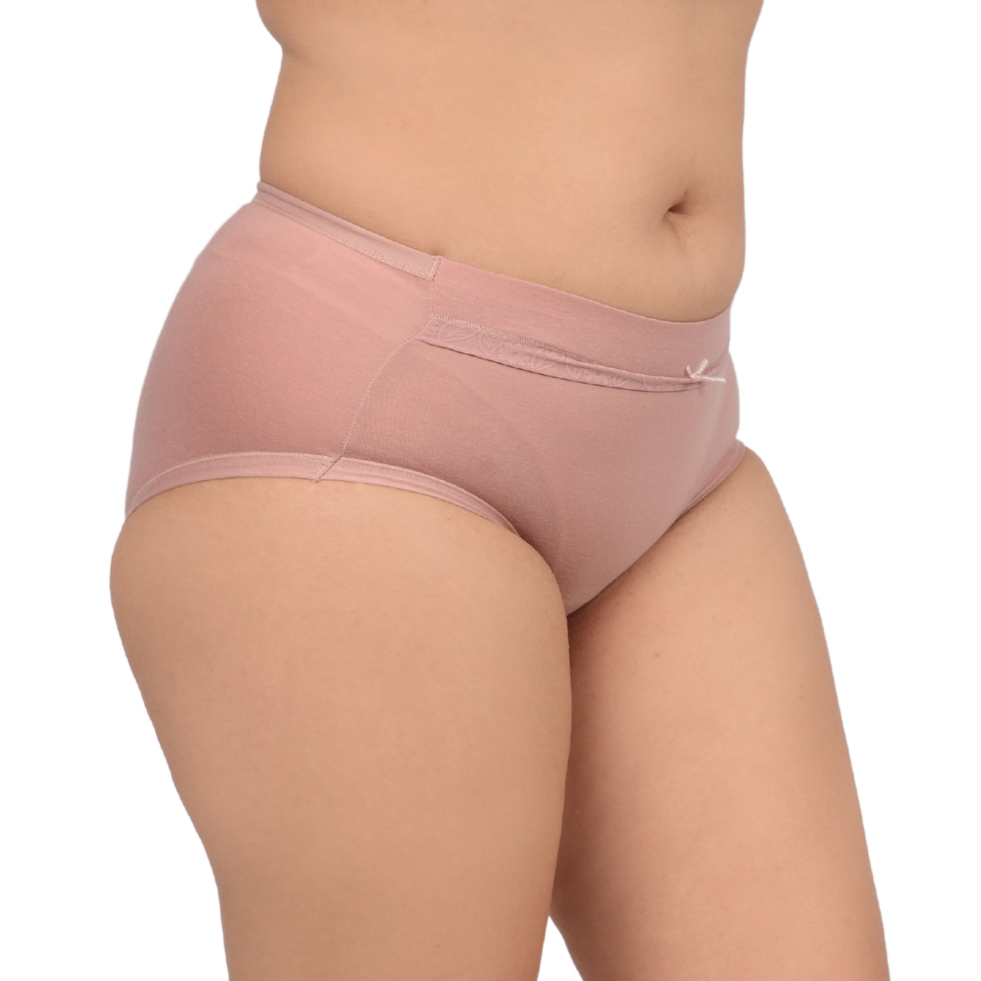 Bare Dezire Solid High Waist Panty For Women Purple - Bare Dezire